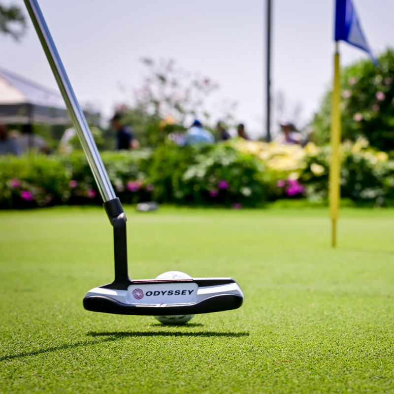 Close up on a putter behind a golf ball on a bright putting green
